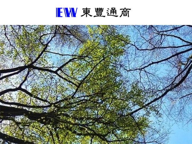 東豐通商股份有限公司網站製作 案例介紹