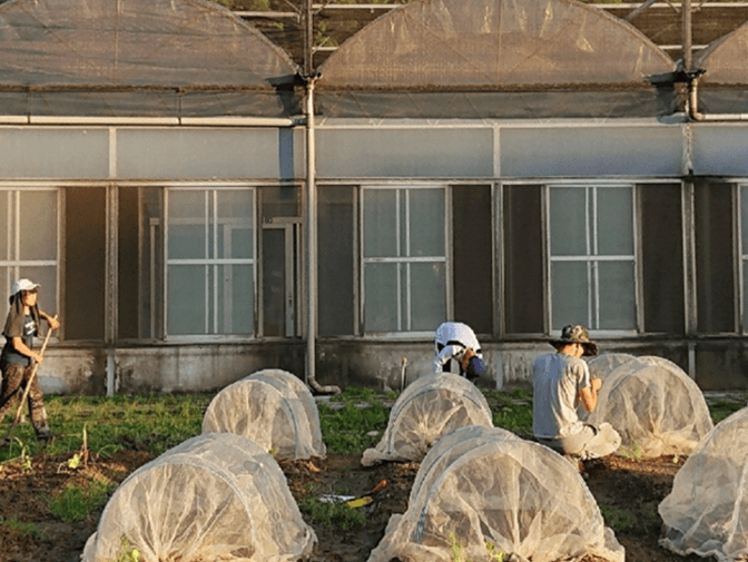 國立臺灣大學園藝暨景觀學系網頁製作案例介紹