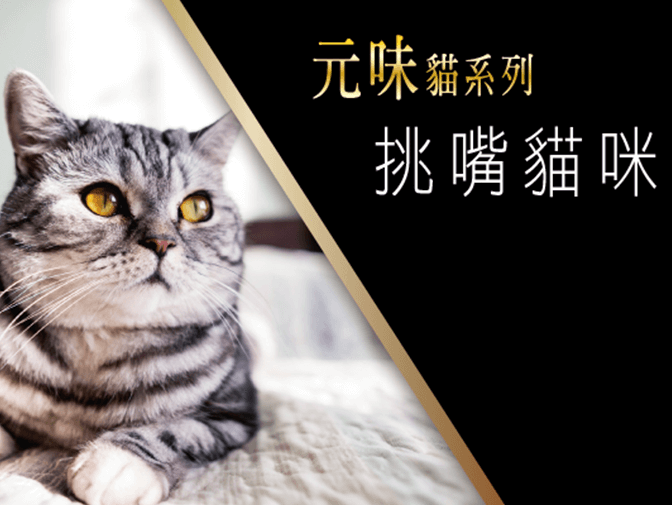 伸美科技有限公司網站製作 案例介紹