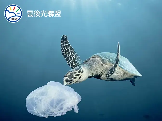 雲後光聯盟網頁設計案例介紹
