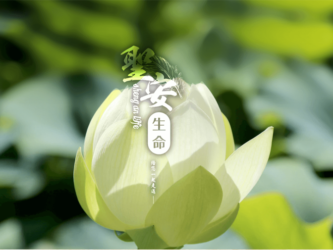 聖安生命科技有限公司網頁製作案例介紹 聖安生命科技有限公司網頁製作案例介紹
