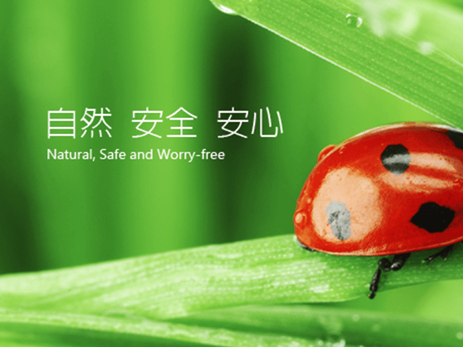 銀杏生物科技有限公司網頁建置案例介紹