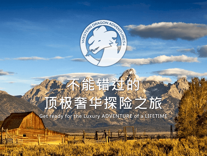 西龍旅游網站製作 案例介紹