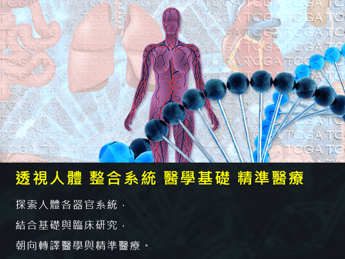 國立陽明大學生理學科暨研究所網頁架設案例介紹