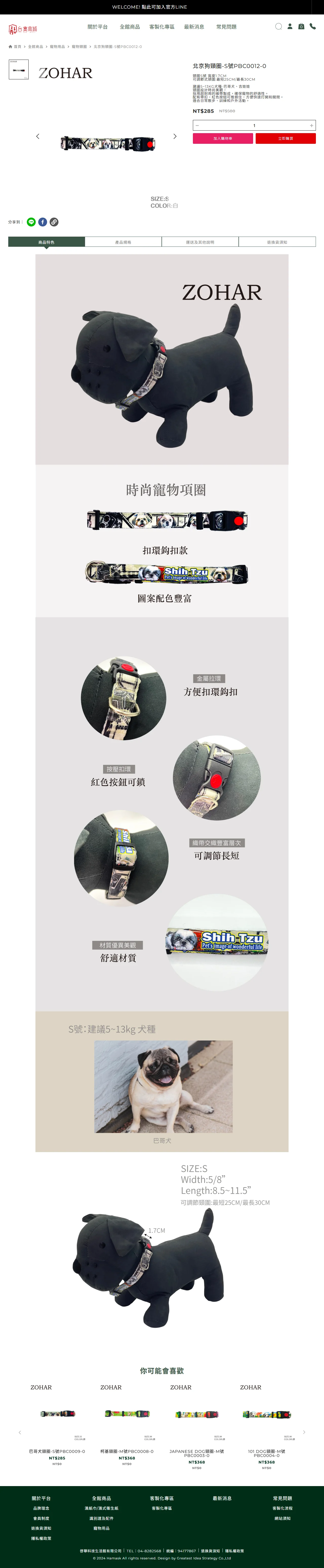 網頁設計展示圖 4
