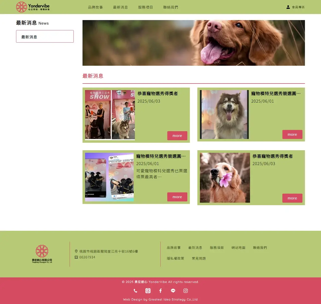 網頁設計展示圖 2