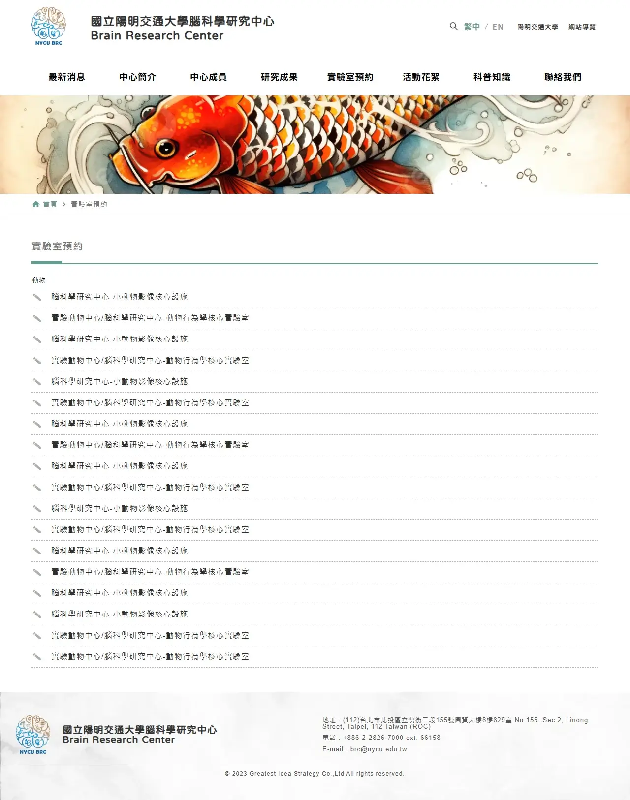 網頁設計展示圖 8